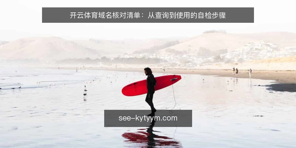 开云体育域名核对清单:从查询到使用的自检步骤 — 准备域名查询工具 配图