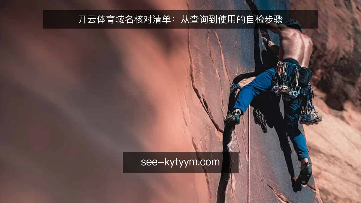 开云体育域名核对清单:从查询到使用的自检步骤