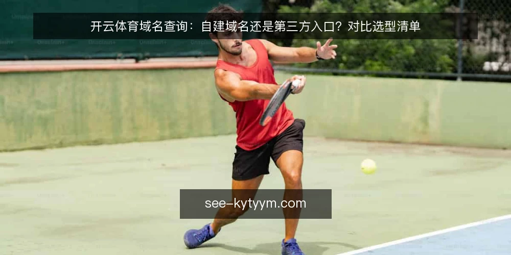 开云体育域名查询:自建域名还是第三方入口?对比选型清单 — 为什么现在需要审计域名方案 配图