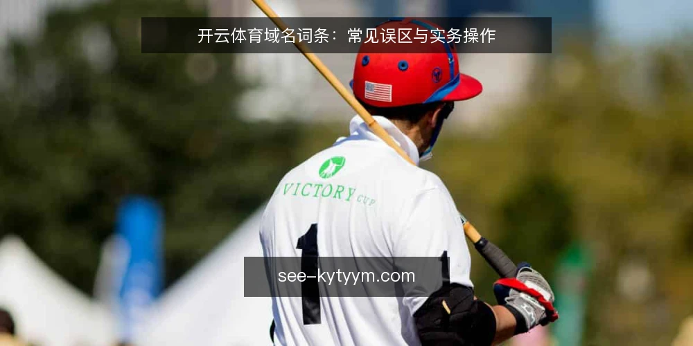 开云体育域名词条:常见误区与实务操作 — 开云体育域名是什么:术语定义与基本概念 配图
