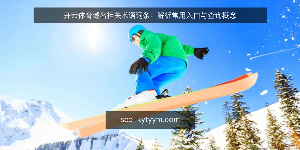 开云体育域名相关术语词条：解析常用入口与查询概念 — 开云体育域名：定义与基本概念 配图