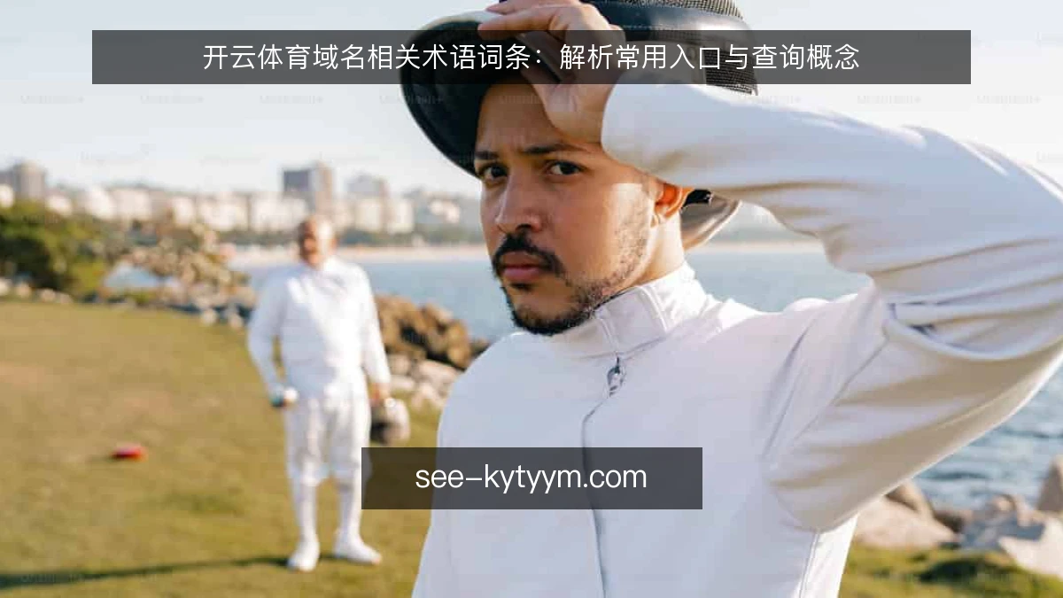 开云体育域名相关术语词条：解析常用入口与查询概念