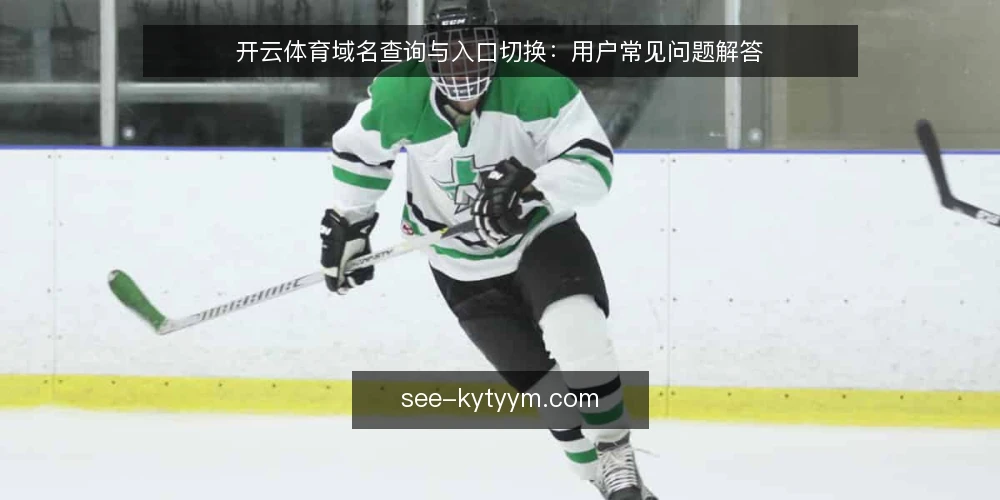 开云体育域名查询与入口切换：用户常见问题解答 — 如何快速查询开云体育当前可用域名？ 配图