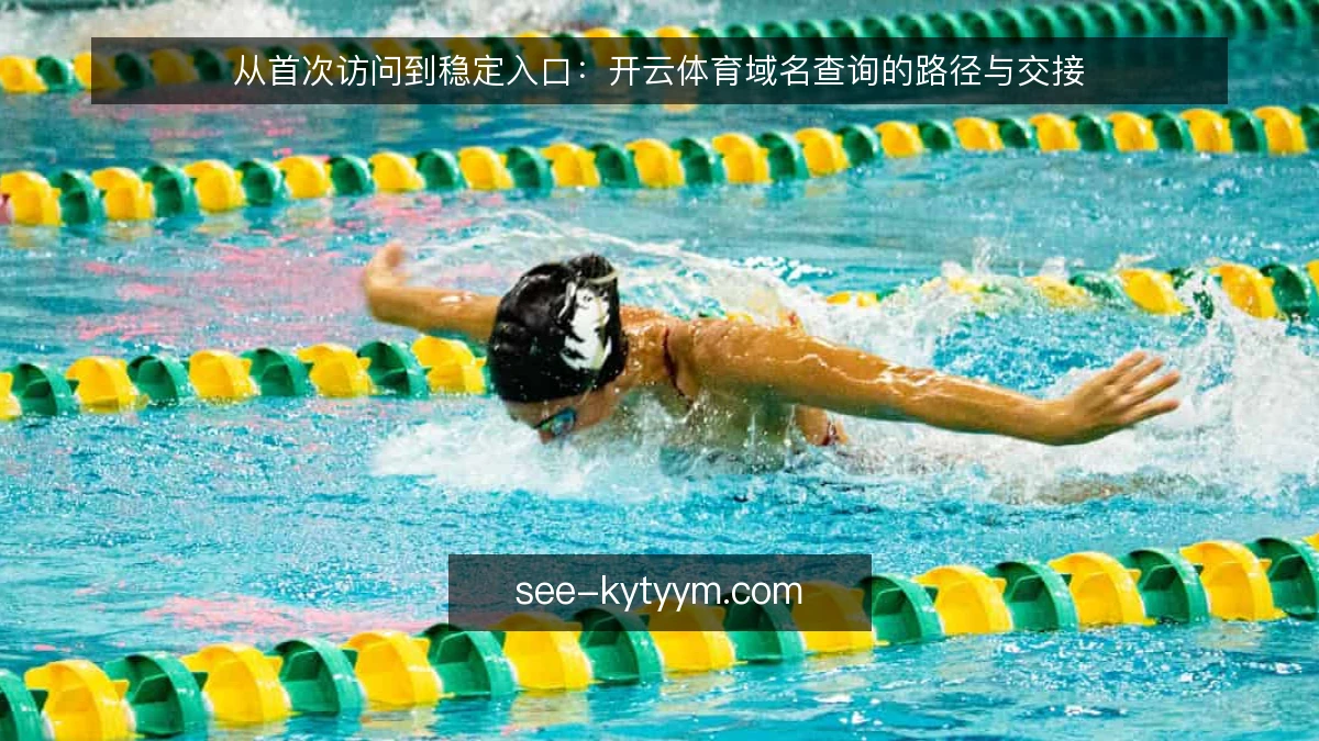 从首次访问到稳定入口：开云体育域名查询的路径与交接