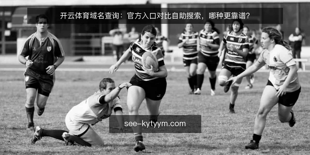 开云体育域名查询:官方入口对比自助搜索,哪种更靠谱? — 明确需求:你查域名是为了访问还是为了核对 配图