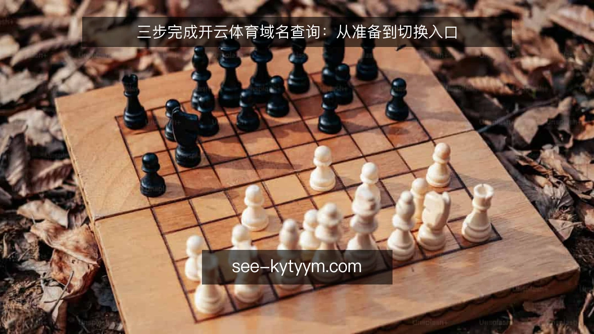 三步完成开云体育域名查询:从准备到切换入口