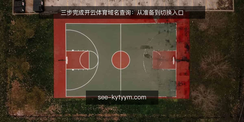 三步完成开云体育域名查询:从准备到切换入口 — 准备:记录当前入口与访问环境 配图
