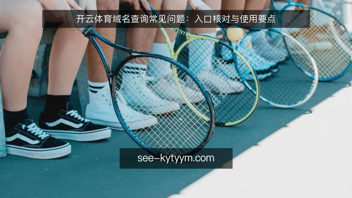 开云体育域名查询常见问题:入口核对与使用要点